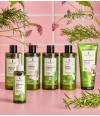Pomirjajoči šampon proti prhljaju Crinipan Green® + rožmarin
